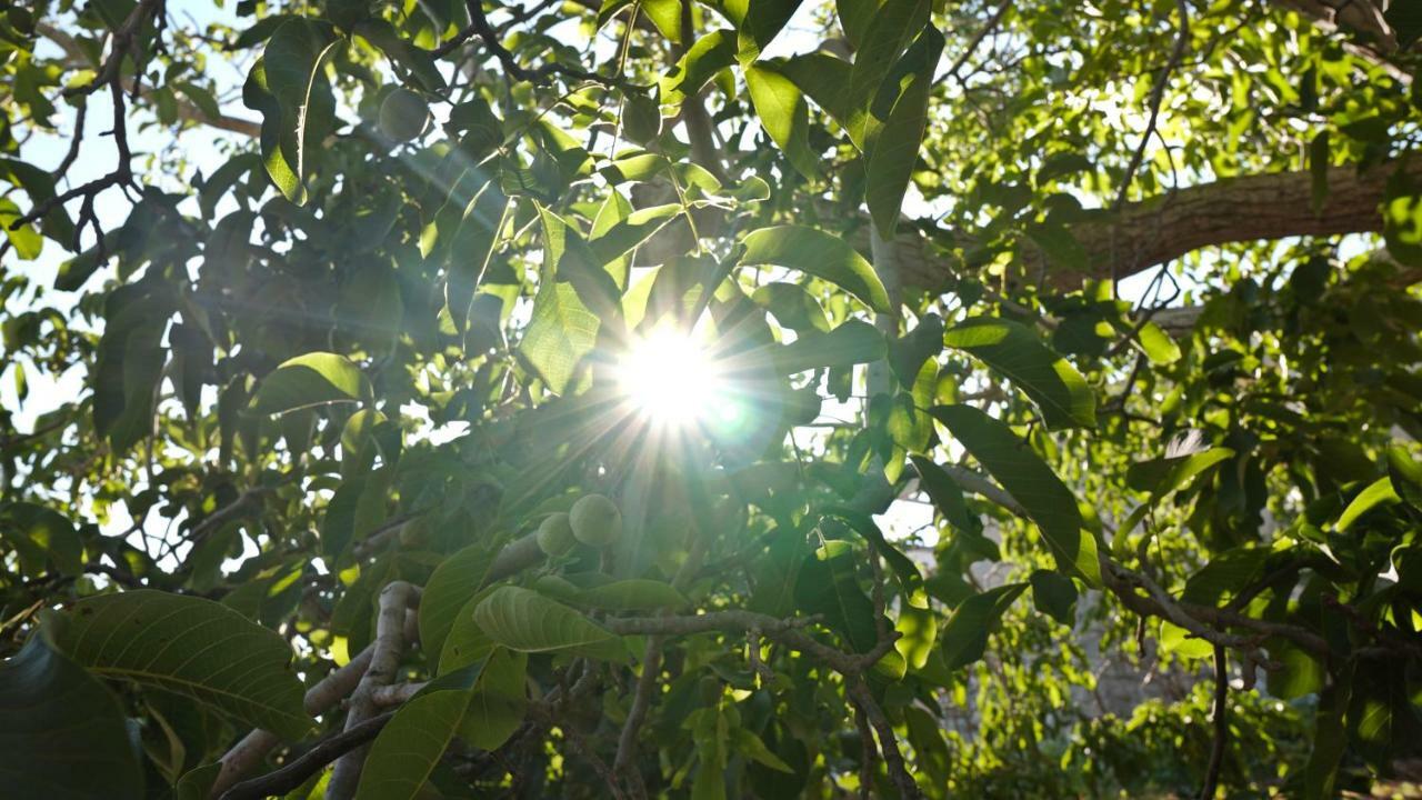Antica Dimora San Filippo Βίλα Μόντικα Εξωτερικό φωτογραφία