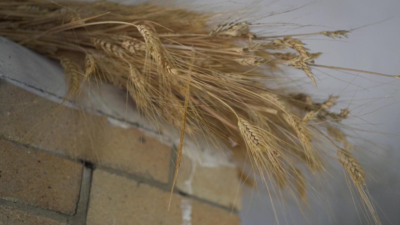 Antica Dimora San Filippo Βίλα Μόντικα Εξωτερικό φωτογραφία